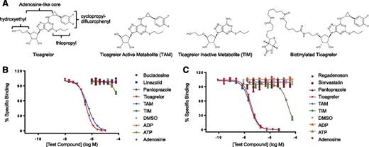 Figure 1. Specificity of Fabs assessed by competitive inhibition of Fab binding to biotinylated ticagrelor. (A) Structures of ticagrelor, TAM, TIM, and biotinylated ticagrelor. The substituent R groups of ticagrelor are indicated. (B) Specificity profile of Fab 72. (C) Specificity profile of MEDI2452. Data shown are for ticagrelor, TAM, TIM, adenosine, ADP, ATP, and 3 of the 12 structurally related compounds tested for clarity. No binding was detected to any of the 12 structurally related compounds at concentrations up to 0.1 mM. Data are mean ± standard error of the mean (SEM) for 3 replicates.