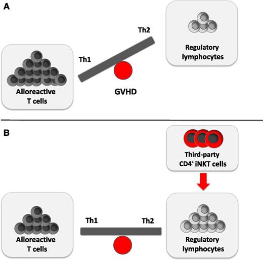The balance between alloreactive donor T cells and regulatory lymphocytes is essential for GVHD prevention. (A) Allogeneic T cells are crucial in the development of GVHD. They secrete large amounts of proinflammatory Th1-biased cytokines such as IFN-γ, which results in further T-cell activation and expansion. In contrast, a Th2-directed immune polarization favors GVDH prevention. Accordingly, the imbalance of allogeneic T cells and immunomodulatory lymphocytes results in GVHD. (B) Schneidawind et al1 demonstrate how the adoptive transfer of low numbers of CD4+ iNKT cells expands donor Tregs and yields a cytokine bias in favor of Th2 cytokines. This balance of immunostimulatory and immunosuppressive cell subsets can dampen GVHD.