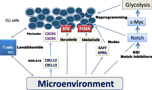 Schematic representation of the microenvironment and agents with the potential of targeting specific CLL pathways. APRIL, a proliferation-inducing ligand; BAFF, B cell–activating factor of the TNF family; BTK, Bruton tyrosine kinase; PD1, programmed death 1 receptor; PI3Kδ, phosphoinositide 3-kinase δ.