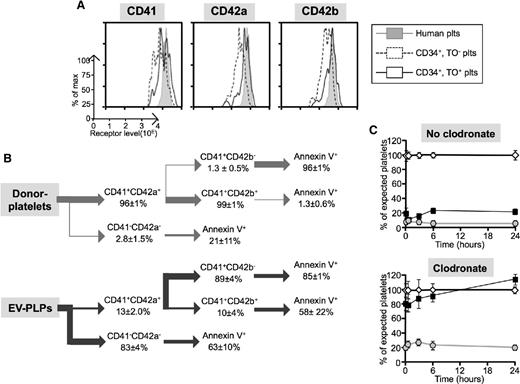 Figure 5. Rapid clearance of small human platelets. (A) Representative flow cytometric studies of surface receptor level for CD41, CD42a, and CD42b on infused human platelets (gray graph) or young and old platelets after AMC EV-megakaryocytes (dashed and solid line graph, respectively) at 1 hour after infusion. (B) Data summary of flow cytometric studies of isolated human donor platelets (top) or EV-PLPs (bottom) stained for the indicated surface markers or Annexin V binding. Mean ± SEM for each subpopulation. N = 3 separate studies for donor platelets and N = 4 for EV-PLPs, each in duplicate. (C) Human platelets either nonactivated (open diamonds) or after TRAP (filled squares) or CVX activation (gray circles) were infused into recipient NSG mice that were or were not preinfused with clodronate-ladened liposomes. The counts in the activated studies were normalized to parallel studies with nonactivated donor platelets. Mean ± SEM is shown. N = 5 studies, each done in duplicate.