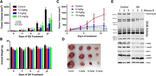 Figure 7. In vivo antimyeloma activity of a DUB inhibitor. (A) NSG mice with equal size-matched dorsal MM1.S tumors were treated with the indicated dose of G9 every day for 2 weeks. Tumor size was measured at the time points indicated. Each bar represents the average ± SD of tumor size from 5 animals. P values are shown within the figure. (B) Animal body weight was measured in control and G9-treated mice from Figure 7A. Body weight was measured at the interval noted, and each bar represents the average ± SD from 5 mice per group. (C) MM1.S tumors growing in NSG mice (3 per group) were treated daily with the indicated concentration of G9. Tumor volumes at each designated interval were recorded. The average tumor volume ± SD from 3 mice per group is shown. P values are the same as described in Figure 7A. (D) Tumors from Figure 7C were excised at the conclusion of the study (day12) and photographed. (E) One hour after the final G9 treatment, tumors from control and G9-treated (15 mg/kg) mice were excised, quick frozen in liquid nitrogen, and subjected to lysis. Equal protein lysates from these tumors was subjected to DUB activity assessment (top; as in Figure 1A) and immunoblotted for the protein indicated. The top band represents HA-UbVS–labeled Usp9x and Usp24 (co-migrating proteins).