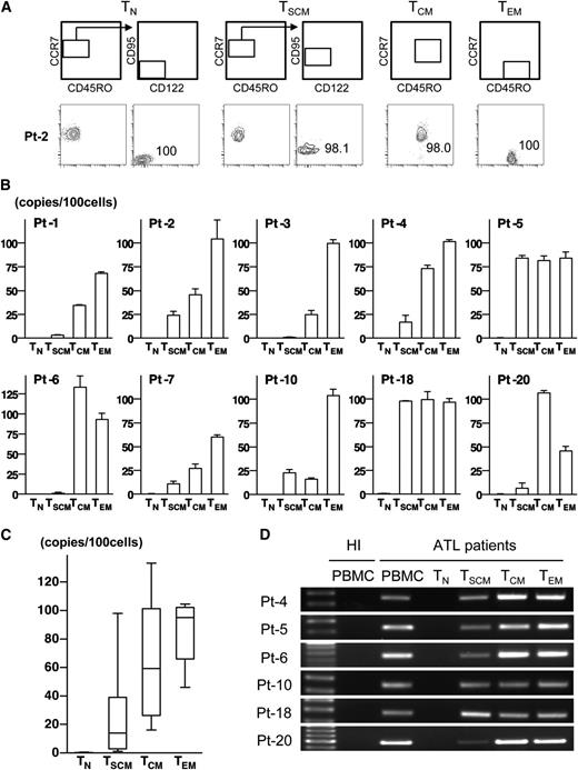 Figure 3. Existence of HTLV-1–infected cells and ATL clones not only in TCM and TEM populations but also in the TSCM population. (A) Representative data of postsorting samples. Values indicate the purity of each sorted population. (B) The mean value of PVL in each population from HTLV-1 carriers and ATL patients are presented. Error bars indicate 1 standard deviation (SD) in triplicate. (C) Data described in (B) are summarized with box and whisker plots. The boxes represent the 25% to 75% percentiles, whiskers represent the range, and lines in the box represent the median values of the distribution. (D) Data of ATL clone–specific PCR using genomic DNA from 1 × 103 cells of each population are shown. Data from PBMCs of each patient or a HI are presented as positive controls or negative controls. The left lane shows the size marker.