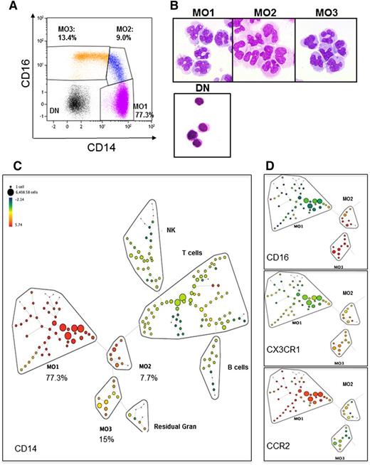 Figure 1. Monocyte subsets in PBMCs were explored. (A) PBMCs from a representative healthy blood donor were labeled with anti-CD45, -CD24, -CD14, -CD16, -CD56, -CD115, -CD62L, -CD64, -CCR2, and -CX3CR1 antibodies. Monocytes were identified using an exclusion gating strategy (described in supplemental Figure 1), and subsets were separated on CD14 and CD16 expression. The percentage of each subset is indicated. (B) May-Grünwald-Giemsa staining of sorted MO1s, MO2s, MO3s, and DN (remaining double-negative CD14−/CD16−) cells. (C) Multiparametric analysis of single cells monitored with 10 surface markers (supplemental Table 1) using the SPADE algorithm, which organizes cells in a hierarchy of related phenotypes. Flow cytometry data from 19 healthy donor PBMCs were gated on morphology, then on CD45+/SSC intermediate, and used to construct the SPADE tree that automatically separates, on the basis of the hierarchy of related phenotypes, MO1s (CD14+/CD16−), MO2s (CD14+/CD16+), MO3s (CD14low/CD16+), natural killer cells (NK; CD56+), B lymphocytes (CD24+), and residual granulocytes (Gran; CD24+/CD16+). The percentage of each subset in the monocyte population is indicated. Circles indicate the size of cell populations, and colors are based on CD14 expression. (D) Color representation of CD16, CX3CR1, and CCR2 expression in the monocyte subsets delineated in the SPADE tree.