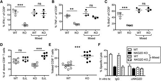 Figure 3. NKG2D KO CD8+ T cells display a survival disadvantage and reduced cytotoxicity in a cell-intrinsic manner. Irradiated Balb/c mice were transplanted with B6-derived TCD BM cells and FACS-sorted WT CD8+ T cells (CD45.1+), NKG2D KO CD8+ T cells (CD45.2+), or a mix of WT CD8+ T cells and NKG2D KO CD8+ T cells. (A) On day 7, spleen cells were harvested from the transplanted mice and stimulated with phorbol 12-myristate 13-acetate/ionomycin for 4 hours. Scatter plots of the fraction of IFN-γ and (B) TNF-α–producing WT and NKG2D KO CD8+ T cells in the individually transplanted setting and in the mixed setting are shown. (C) Transplanted mice were treated with BrdU on day 6 post-BMT and harvested on day 7. The fraction of BrdU-incorporated WT and NKG2D KO CD8+ T cells in the individually transplanted setting and in the mixed setting is shown. (D) Irradiated Balb/c mice were transplanted with B6-derived TCD BM cells and WT B6.SJL CD8+ T cells mixed with either WT B6 CD8+ T cells (CD45.2+) or NKG2D KO CD8+ T cells (CD45.2). The percentage of B6.SJL WT, WT B6, or NKG2D KO CD8+ T cells out of all donor-derived CD8+ T cells is represented as a scatter plot. (E) The percent of dead (live/dead stain+) CD8+ T cells of WT or NKG2D KO origin from mice receiving a mix of WT and NKG2D KO CD8+ T cells is plotted. (F) WT or NKG2D KO CD8+ T cells from individually transplanted or mixed transplanted mice were pooled, FACS-sorted, and cultured with A20 cells with (right bars) or without (left bars) anti-NKG2D antibody treatment in vitro at a 1:20 effector-to-target ratio. Cytotoxicity of the A20 cells was measured 4 hours later. ns, **, and *** indicate that the groups compared are not significantly different or display statistical significance of P < .01 and P < .001, respectively by Student t test.