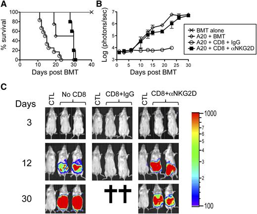 Figure 4. Prolonged anti-NKG2D antibody treatment attenuates GVT responses. Irradiated Balb/c mice were transplanted with B6-derived BM alone or with B6-derived BM cells and FACS-sorted CD8+ T cells with or without luciferase-expressing A20 cells (A20luc). The mice were treated 3 times per week with either isotype control antibody (IgG) or anti-NKG2D antibody for 30 days. (A) A survival graph using all mice from 2 independent experiments (n = 6 mice/group) is shown. (B) The tumor burden measured by bioluminescence is shown as compiled data from 1 representative of 2 independent experiments (n = 3 mice/group). (C) Representative bioluminescence images of tumor-bearing mice on days 3, 12, and 30 are shown. CTL represents non–tumor-bearing mice used for measuring background bioluminescence for comparison purposes.