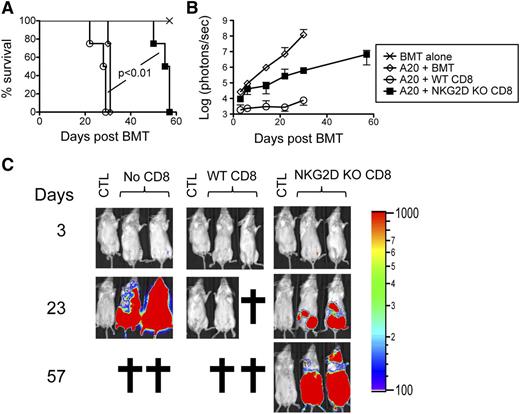 Figure 5. NKG2D KO CD8+ T cells display defective GVT responses. Irradiated Balb/c mice were transplanted with B6-derived BM alone or with B6-derived BM cells and FACS-sorted WT or NKG2D KO CD8+ T cells with or without luciferase-expressing A20 cells. (A) A survival graph using all mice from 2 independent experiments (n = 8 mice/group) is shown. (B) The tumor burden measured by bioluminescence is shown as compiled data from 1 representative of 2 independent experiments (n = 4 mice/group). (C) Representative bioluminescence images of tumor-bearing mice on days 3, 23, and 57 are shown. CTL represents non–tumor-bearing mice used for measuring background bioluminescence for comparison purposes.