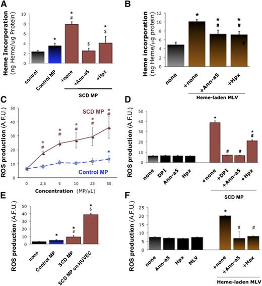 Figure 3. Endothelial activation by heme-laden MPs. Confluent HUVEC monolayers were treated for 2 hours with erythrocyte MPs or synthetic vesicles. Some MPs were preincubated for 1 hour with specific inhibitors of MPs PS (10 μg/mL annexin-a5) and heme (Hpx, 2 μM). HUVECs were incubated with MPs derived from SCD or control erythrocytes (50 MPs/μL; ie, ∼20 nM heme for control MPs and 65 nM heme for SCD MPs) (A), or synthetic heme-laden MLVs (50 MLVs/μL) (B), washed with PBS, and lysed. Heme incorporation was estimated by spectrophotometry (Abs398) with respect to serial heme dilutions and normalized for protein contents; *P < .05 vs control; #P < .05 vs control MPs; $P < .05 vs MPs + none. (C) We analyzed ROS generation after incubation of HUVECs with SCD and control erythrocyte MPs (25 MPs/μL), with or without preincubation for 1 hour with annexin-a5 or Hpx. (D) HUVECs were preincubated for 1 hour with reduced NAD phosphate inhibitor DPI (10 μM). Here, fluorescent H2-DFF-DA was added after 30 minutes with MPs, and ROS production measured after 90 minutes. *P < .05 vs control; #P < .05 vs MPs + none. (E) Alternatively, we assessed ROS production by erythrocyte MPs alone for 1 hour in H2-DFF-DA, in absence of HUVECs. *P < .05 vs none; #P < .05 vs control MPs; $P < .05 vs SCD MPs without endothelium. (F) We assessed the effects of heme-laden MLVs on HUVEC ROS production, after incubation with annexin-a5 (10 μg/mL) or Hpx (2 μM). *P < .05 vs control; #P < .05 vs MLVs + none.