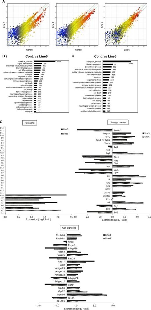 Figure 5. The shortest isoform of LSD1 modifies the gene expression program in favor of increasing the self-renewal and T-cell priming of HSPCs. (A) We performed microarray-based gene expression profiling in Lin−/Sca-1+ bone marrow cells from LSD1 transgenic (line 6 and 3) and control mice. A pairwise comparison of 39 000 genes is shown with signal intensities in both axes. (B) Gene ontology enrichment analysis for genes whose expression was altered more than twofold in line 6 (Bi) and line 3 (Bii) of LSD1 transgenic mice compared with control mice (P < .05 with an FDR threshold of 0.05). (C) Examples of genes whose expression was altered in line 3 and line 6 of LSD1 transgenic mice compared with control mice in 3 categories (Hox family, hematopoietic cell lineage markers, and cell signaling-related). FDR, false discovery rate.