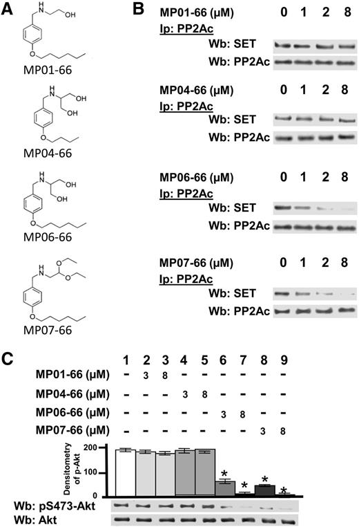 Figure 6. Effect of FTY720 analogs on the stability of the SET/PP2A complex. (A) Chemical structure of FTY720 analogs. (B) Freshly isolated CLL cells were cultured in the absence or presence of increasing concentrations of MP01-66, MP04-66, MP06-66, or MP07-66 for 8 hours. After such treatment, each sample was immunoprecipitated with anti-PP2Ac antibody, and the immunocomplexes were analyzed by western blot (Wb) analysis with anti-SET. Blots were then stripped and reprobed with anti-PP2Ac antibody. (C) Whole B-cell lysates were incubated with pAkt, obtained by immunoprecipitation from CLL cells, in the absence or presence of increasing concentrations of MP01-66, MP04-66, MP06-66, or MP07-66 for 10 minutes at 37°C. After such treatment, the samples were analyzed by Wb analysis with anti-pAkt and anti-Akt antibodies. Pooled densitometric analyses (arbitrary units) of the Wb bands of the immunoblots are shown. The figure is representative of experiments performed in triplicate on samples from each of 16 CLL patients.