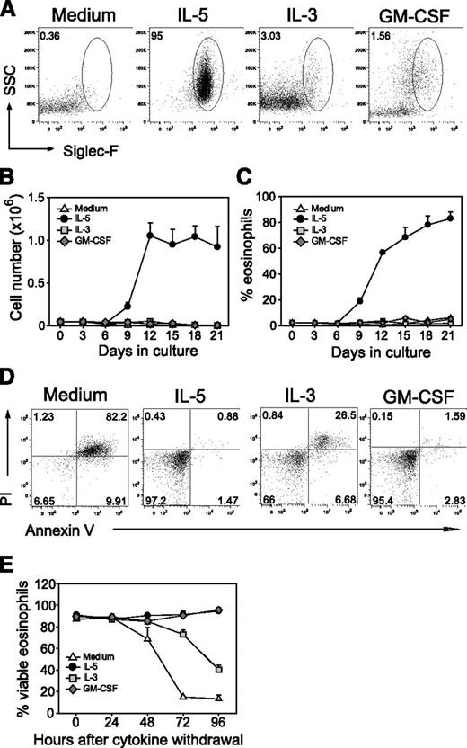 Figure 1. Role of IL-5, IL-3, and GM-CSF in eosinophil development and survival. Bone marrow cells were initially stimulated with SCF/FLT3L for 4 days and further cultured in the presence of IL-5, IL-3, or GM-CSF. Cells were analyzed at indicated time points by flow cytometry. (A) Dot plots show the frequency of eosinophils (Siglec-F+SSChi) after 21 days in culture. (B) Eosinophil numbers are shown as mean + SD (n = 3). (C) Frequency of eosinophils (Siglec-F+SSChi) is shown as mean + SEM. Mature eosinophils were washed on day 12 after onset of culture and further cultured in the absence or presence of the indicated cytokines. Cells were harvested at the indicated time points and subjected to annexin V/propidium iodide (PI) staining for detection of apoptotic cells by flow cytometry. (D) Dot plots show representative stainings after 96 hours of culture. (E) Frequency of viable eosinophils (annexin V−PI−) shown as mean + SD (n = 3). SD, standard deviation; SEM, standard error of the mean.