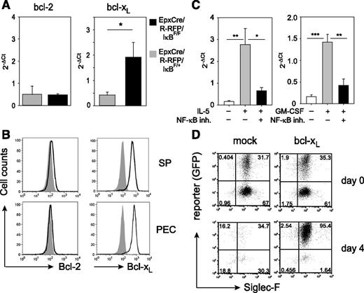 Figure 5. Bcl-xL promotes survival of eosinophils with constitutively active NF-κB. (A) RNA was isolated from sort-purified eosinophils of EpxCre/R-RFP/IκBF/+ (gray bars) and EpxCre/R-RFP/IκBF/F (black bars) mice. Expression of bcl-2 and bcl-xL was determined by RT-qPCR. Porphobilinogen deaminase was used as housekeeping control. Bar graphs show the mean + SEM of 4 mice per group. *P < .05. (B) Eosinophils (Siglec-F+SSChi) from spleen and peritoneum of IL-5 transgenic mice were stained intracellularly for expression of Bcl-2 and Bcl-xL (black outline) and compared to isotype control staining (gray shade). (C) RT-qPCR for bcl-xL in BMDEs stimulated for 3 hours with IL-5 (left graph) or GM-CSF (right graph) in the presence or absence of the NF-κB inhibitor (inh.) Bay11-7085. Bar graphs show the mean + SEM of 6 separate samples per group from 2 independent experiments. *P < .05; **P < .01; ***P < .001. (D) BMDEs from wild-type mice were retrovirally transduced with either mock or bcl-xL–expressing retroviruses. Dot plots show frequencies of transduced eosinophils (reporter+Siglec-F+) before (day 0) and after (day 4) IL-5 withdrawal. Similar results were obtained in 2 other independent experiments. 2−ΔCt, the difference of Ct values obtained by RT-PCR analysis between the gene of interest and the house-keeping gene; GFP, green fluorescent protein; qPCR, quantitative PCR.