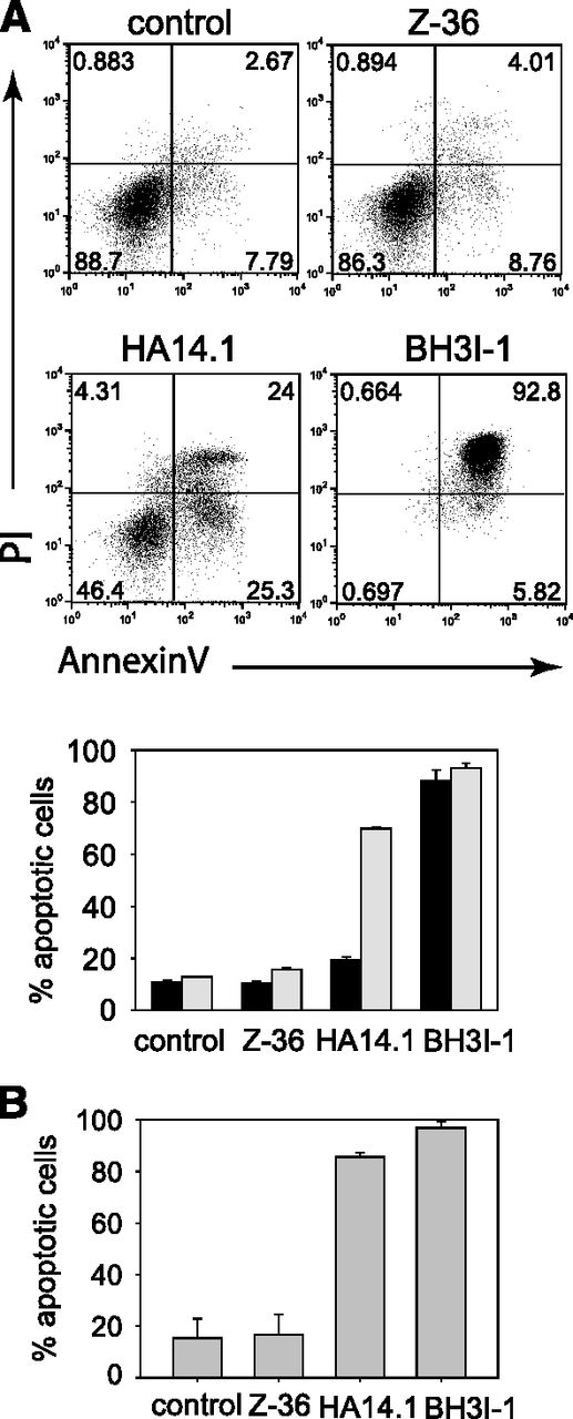 Figure 6. The Bcl-xL inhibitors HA14.1 and BH3I-1 promote apoptosis of murine and human eosinophils. (A) Murine BMDEs were cultured in presence of IL-5 and the indicated Bcl-xL inhibitors for 4 hours (black bars) or 24 hours (gray bars) and analyzed for apoptosis by flow cytometry. Dot plots show representative samples at 24 hours after addition of the inhibitors. (B) Human eosinophils isolated from the peripheral blood of healthy volunteers were cultured for 24 hours in the presence of IL-5 and the indicated Bcl-xL inhibitors. Bars show the mean + SEM (n = 3) of 3 independent experiments.