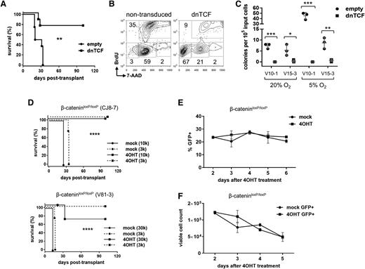 Figure 2. Inhibition of Wnt signaling eliminates LICs. (A) Survival of recipient mice after transplantation with leukemias transduced by dnTCF lentivirus to block β-catenin signaling. Primary mouse NOTCH1-ΔE leukemias were explanted and transduced with dnTCF/GFP or empty virus control. Two days later, GFP+ leukemia cells were FACS-sorted and injected into each of 4 recipient animals (n = 4) at a dose of 1 × 105 cells per mouse. Results depicted are compiled from 2 separate transplant experiments using independent primary leukemias (#V10-1 and #V12-1). **P < .01 (log-rank test). (B) Proliferation of mouse leukemias following transduction with dnTCF lentivirus vs nontransduced cells present in the same culture as measured by 5-bromo-2′-deoxyuridine incorporation. G1/G0, S, G2/M, and subG1 populations are gated as shown. Results depicted are representative of 2 independent leukemias analyzed (#V10-4 and #V12-1;3). (C) CFC assay for clonogenic activity. Primary mouse leukemias were transduced with dnTCF or empty control lentiviruses, FACS-sorted for the linked GFP marker, and plated in methylcellulose-containing media. *P < .05; **P < .01; ***P < .001 (Student t test). (D) Survival of recipient mice after transplantation with leukemias deleted of β-catenin. Primary mouse NOTCH1-ΔE leukemias on a Ctnnb1loxP/loxP background were explanted, transduced with CreERT2/GFP lentivirus, and then treated with 4-OHT or vehicle (mock) control in vitro for 2 days. GFP+ leukemia cells were then FACS-sorted and injected into each of 4 recipient mice (n = 4) at each of the cell doses indicated in parentheses. Two separate experiments are depicted using independent primary leukemias. ****P < .0001 (log-rank test). (E-F) Cell growth/viability assays. Primary mouse NOTCH1-ΔE leukemias generated on a Ctnnb1loxP/loxP background were transduced with CreERT2/GFP lentivirus, and then treated with 4-OHT or vehicle (mock) in vitro. In (E), relative cell growth was assessed by tracking the % GFP+ cells over time in culture by flow cytometry. A decreasing GFP+ fraction indicates transduced (GFP+) cells are growth disadvantaged compared with nontransduced (GFP−) cells in the same culture. In (F), absolute viable cell numbers were tracked over a 3-day culture period by flow cytometry with admixed polystyrene counting beads. Mean ± SD values are plotted.