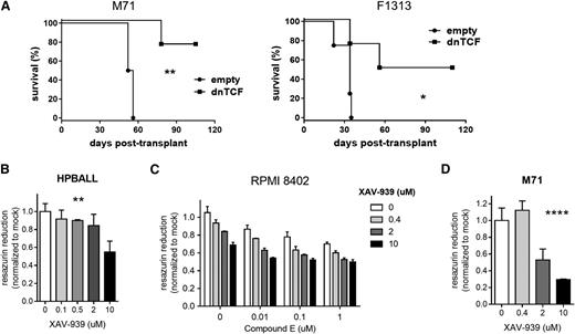 Figure 6. Effects of WNT inhibition on human T-ALL. (A) Survival of recipient NSG mice after transplantation with xenograft-expanded primary human T-ALL leukemias transduced by lentivirus encoding dnTCF or empty vector control. Leukemia cells were transduced with virus, cultured on MS5-DL1 feeders for 3 days, FACS-sorted for the viral GFP marker, and then injected into each of 4 recipient animals (n = 4) at a dose of 1 × 104 cells per mouse. Results are depicted for 2 different patient leukemias (M71 and F1313) in each experiment. *P < .05; **P < .01 (log-rank test). (B-D) Cell growth as measured by resazurin reduction. Human T-ALL cell lines (HPBALL and RPMI 8402) or PDX tumor cells (M71) were treated in vitro with XAV-939 and/or the γ-secretase inhibitor (GSI) compound E at the doses indicated for 3 to 5 days prior to assay. For the PDX culture, results were normalized against MS5-DL1 feeder-only wells. Mean ± SD values of triplicate assays are plotted. **P < .01; ****P < .0001 (one-way ANOVA). In (D), GSI accounted for 51% of the variation (P < .0001), XAV for 39% of the variation (P < .0001), and their interaction for 3% of the variation (P = .0125) by 2-way ANOVA.