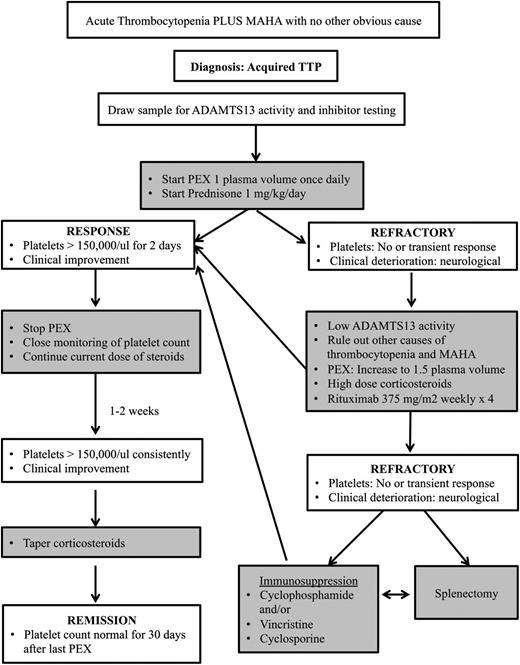 Figure 1. Our approach to the management of acute and refractory TTP.