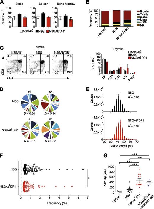 Figure 1. Normal T-cell development and function in NSGAb°DR1 mice. (A) Human chimerism in blood, spleen, and bone marrow determined using human CD45 staining 20 weeks after reconstitution from a single DR1 allelically matched cord blood donor. n ≥ 6 per group pooled from 3 independent experiments. (B) Human immune cell populations as a percent of human leukocytes in spleens of reconstituted mice. cDCs, classical dendritic cells; pDCs, plasmacytoid dendritic cells; NK, natural killer. (C) Representative flow cytometry dot plots of developing T cells (left) quantified (right) showing double-positive (DP), CD4+, CD8+, double-negative (DN) and CD4+CD25+FOXP3+ Tregs. n ≥ 5 per group from 2 independent experiments. (D) The CDR3 region of the TCR-β locus was profiled using next-generation ultrahigh-throughput sequencing. Pie segments are displayed in different colors to highlight unique V-gene segments for NSG and NSGAb°DR1 mice. TCR-β repertoire Diversity was calculated using normalized Shannon’s entropy (P > .05). (E) Histogram of CDR3 nucleotide length in CD4+ T cells isolated from spleens of reconstituted NSG or NSGAb°DR1 mice. (F) The relative frequency or “evenness” of the CD4+ TCRβ repertoire was plotted for the top 100 clonotypes in 2 representative animals in each genotype, with each circle depicting an individual clonotype. (G) Delayed-type hypersensitivity response in OVA-immunized mice displayed as the difference in swelling between OVA-injected left footpad (lfp) and PBS-injected right footpad (rfp). NSGAb°DR1 (mismatched) refers to reconstitution using HSCs from a donor that was negative for the DRB1*01:01 allele. Data are pooled from 2 independent experiments. Bars are the mean ± standard error of the mean (SEM). Statistical analysis performed using 1-way analysis of variance (ANOVA) with Tukey’s multiple comparisons test (A), multiple Student t test corrected for multiple comparisons using Holm-Sidak method (C), nonlinear regression (E), unpaired Student t test (F-G). *P < .05, **P < .01, ***P < .001.