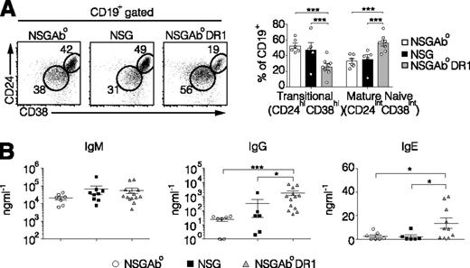 Figure 2. Increased B cell maturation and class switched immunoglobulins in reconstituted NSGAb°DR1 mice. (A) Representative flow cytometry dot plots of splenic B cells gated on CD45+CD19+ (left) and quantified (right) from 3 independent experiments with n ≥ 5 per group. (B) Serum immunoglobulin levels quantified by ELISA. Each data point represents an individual mouse from 3 independent experiments. Solid bars are the mean ± SEM. Statistical analysis was performed using multiple t test corrected for multiple comparisons using the Holm-Sidak method (A), Mann-Whitney test (B). *P < .05, **P < .01, ***P < .001.