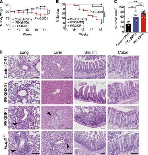 Figure 4. NSGAb°DR1 mice reconstituted with IPEX hematopoietic stem cells causes mortality and multiorgan inflammation. (A) Longitudinal assessment of body weight change compared with weight at 10 weeks from 2 independent experiments. (B) Kaplan-Meier survival curve comparing reconstituted mice. The 18-week cutoff was selected based on 100% lethality in IPEX(DR1) mice by this time point in the first experimental cohort to compare variability across 2 independent experiments. Control(DR1) n = 10, IPEX(NSG) n = 10, IPEX(DR1) n = 19. (C) Human chimerism in spleen of reconstituted mice assessed by flow cytometry pooled from 2 experiments. Open circles are individual mice. Bars are the mean ± SEM. (D) Hematoxylin and eosin–stained sections from the lung, liver, small intestine (sm. int.), and colon of NSGAb°DR1 mice reconstituted with control bone marrow CD34+ HSCs or IPEX CD34+ HSCs, NSG mice reconstituted with IPEX CD34+ HSCs, and Foxp3sf mice. Black arrowheads denote leukocyte infiltrate. Scale bars are 100 μm. Statistical analysis performed using 1-way ANOVA with Tukey’s multiple comparisons test (A,C), curve comparison using log-rank Mantel-Cox test (B). *P < .05, **P < .01.
