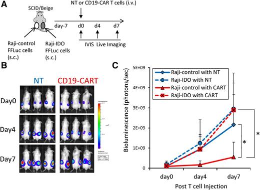 Figure 2. Effect of tumor-derived IDO on CD19-CARTs. (A) Schematic representation of the experiments in SCID/Beige mice comparing the antitumor effects of CD19-CARTs on Raji-control (left flank) and Raji-IDO tumor (right flank). (B) Time course of tumor bioluminescence in mice treated with nontransduced (NT) T cells or CD19-CARTs. (C) Time course of bioluminescence of Raji-control and Raji-IDO tumors treated with NT and CARTs. Data represent mean ± SD of 8 mice per group from 2 independent experiments (*P < .05).