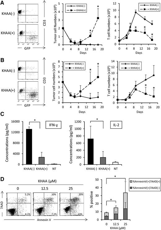 Figure 5. Effect of tryptophan metabolites on killing, apoptosis, and cytokine secretion by CD19-CARTs. GFP-transduced wild-type Raji cells were cocultured with CD19-CARTs at E:T ratios (A) 1:2 and (B) 1:4 in the presence or absence of KHAA (12.5 μM). The total number of tumor cells and CARTs in each culture condition was determined using flow cytometry analysis at the indicated time points. Dot plot shows representative data on day 14. Three experiments using CARTs generated from 3 different donors were analyzed and shown as the mean ± SD in the graph (*P < .05). (C) Seven days after the first expansion, CD19-CARTs (1 × 106) were cultured with Raji cells (1 × 106) in the presence or absence of KHAA (12.5 μM); supernatants were collected after 24 hours and analyzed for IL-2 and IFN-γ by ELISA. Data represent mean ± SD of 4 T-cell lines generated from 4 donors (*P < .05). (D) Apoptosis was determined by annexin V/7-AAD staining of CD19-CARTs after 3 days of culture in the absence or presence of KHAA (12.5 or 25 μM) and IL-2 (50 U/mL). Data represent mean ± SD of 4 T-cell lines generated from 4 donors (*P < .05).