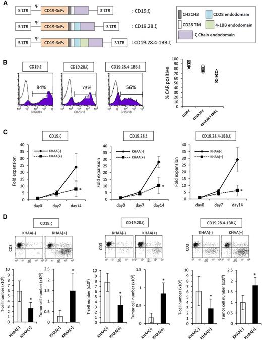 Figure 6. Additional costimulatory domains are not able to mitigate the inhibitory effects of tryptophan metabolites. (A) Schematic representation of recombinant retrovirus vectors encoding CD19-CAR constructs (CD19.ζ, containing the CD3ζ chain alone; CD19.28.ζ, CD3ζ chain and CD28 endodomain; CD19.28.4-1BB.ζ, CD3ζ chain and CD28 and 4-1BB endodomains) (B) CD19-CAR surface expression on T cells transduced with each construct. (C) The number of CD19-CARTs cultured in the presence or absence of KHAA (12.5 μM) was determined at the end of each 7-day expansion cycle. Data represent the mean ± SD of 5 T-cell lines generated from 5 donors (*P < .05). (D) GFP-transduced wild-type Raji cells were cocultured with each CD19-CART type at an E:T ratio of 1:2 in the presence or absence of KHAA (12.5 μM). The total number of tumor cells and CARTs in each culture condition was determined by flow cytometry. Dot plot shows representative data on day 14. Five experiments using CARTs generated from 5 different donors were analyzed and represent mean ± SD in the graph (*P < .05). In the absence and presence of KHAA, the number of residual tumor was 0.28 ± 0.28 × 106 and 1.49 ± 0.84 × 106, respectively, for the first-generation CAR; 0.16 ± 0.13 × 106 and 0.83 ± 0.3 × 106, respectively, for the second-generation CAR; and 0.99 ± 0.33 × 106 and 1.79 ± 0.39 × 106, respectively, for the third-generation CAR.