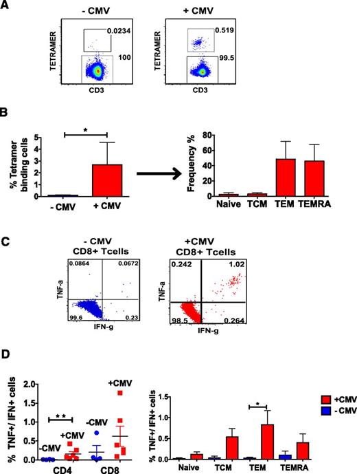 Figure 4. Analysis of CMV-specific CD8+ T cells using peptide stimulation and tetramer binding. (A) Patients who were positive for HLA-A2, -B7, or -B8 were analyzed for the frequency with which they bound to appropriate CMV-specific tetramers. Representative flow cytometry analysis is shown for −CMV (left) and +CMV (right) patients. Cells were gated as follows: lymphocytes were identified in a FSC/SSC plot, out of these, singlets were isolated. From these, CD14−/CD20−/CD3+ T cells were identified and further gated on CD8+ T cells, which were analyzed for their binding to matching tetramers. (B) Left, bar graph illustrating the frequency of tetramer-binding cells from −CMV (blue) and +CMV (red) patients. Right graph, Tetramer+ cells from +CMV patients were further separated into their respective memory subsets. (C) Representative flow cytometry analysis from −CMV and +CMV patients of intracellular cytokine expression after stimulation with CMV-specific peptides. CD8+ T cells were gated as described in Figure 2A and then analyzed for the production of IFNγ and TNF. (D) Frequency of IFNγ+/TNF+ CD4+ and CD8+ T cells of +CMV (n = 6) and −CMV (n = 4) patients (left). Also the frequency of IFNγ+/TNF+ CD8 T cells in each of the 4 memory subsets is shown for +CMV and −CMV patients (right). *P ≤ .05; **P ≤ .01 Wilcoxon rank-sum test.