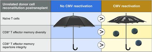 Depiction of T-cell repertoire deficits at 1 year after allogeneic hematopoietic stem cell transplant in recipients who reactivate with CMV. Professional illustration by Patrick Lane, ScEYEnce Studios.