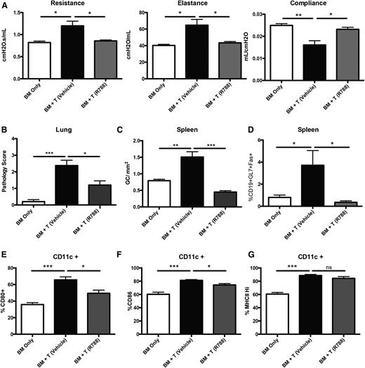 Figure 4. Inhibition of Syk by R788 decreases cGVHD in a murine BO model. (A) Day-56 pulmonary function tests on mice treated with 30 mg/kg R788 twice daily from days 28 to 56. (B) GVHD pathology scores from the lungs of mice on day 60. (C) Number of GCs present in situ in spleens of mice. (D) Frequency of GC B cells (gated on CD19+GL7+CD95hi) present in the spleens of transplanted mice on day 60. (E-G) Frequency of CD11c cells expressing CD80, CD86, and MHC class II in the spleens of transplanted mice on day 60. *P < .5; **P < .01; ***P < .001. Error bars represent SEM; representative data from 3 independent experiments with n = 8 per group.