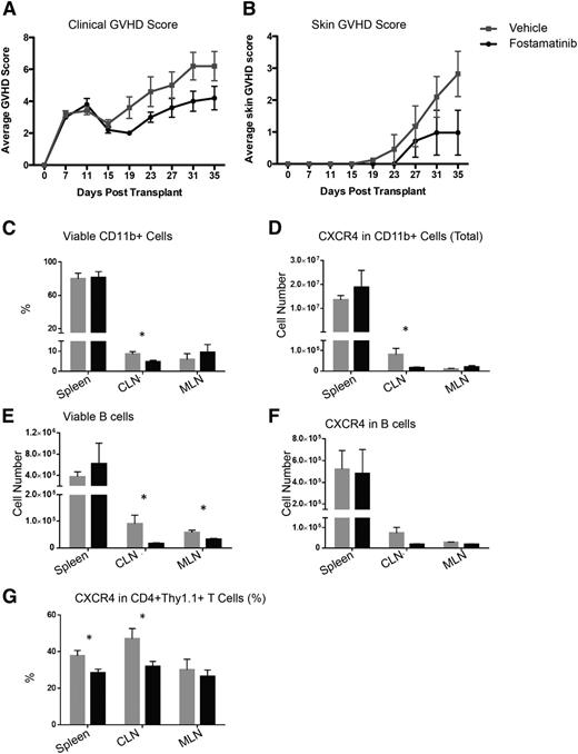 Figure 6. Fostamatinib has little clinical therapeutic benefit in a B10.D2 into BALB/c sclerodermatous cGVHD model but decreases expression of CXCR4 on CD11b+ and CD4+ cells. (A) Clinical GVHD scores or (B) skin GVHD scores in vehicle-treated (gray squares) or R788-treated (black circles) mice in the B10.D2 into BALB/c model. (C) Frequency of viable CD11b+ cells. (D) Expression of CXCR4 on CD11b+ cells. (E) Absolute number CD19+ B cells. (F) Expression of CXCR4 on B cells. (G) Expression of CXCR4 on CD4+ cells. *P < .5. Error bars represent SEM; n = 5 per group. CLN, cervical lymph node; MLN, mesenteric lymph node.