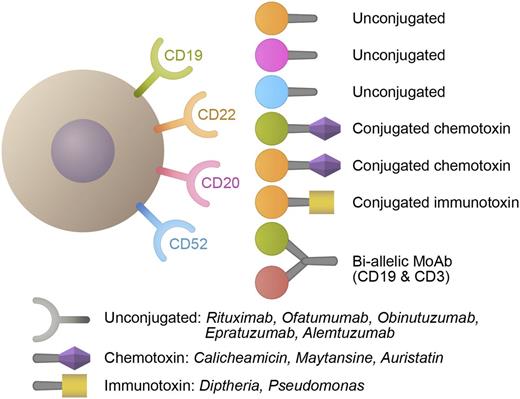 Figure 1. Schema of different monoclonal antibodies.