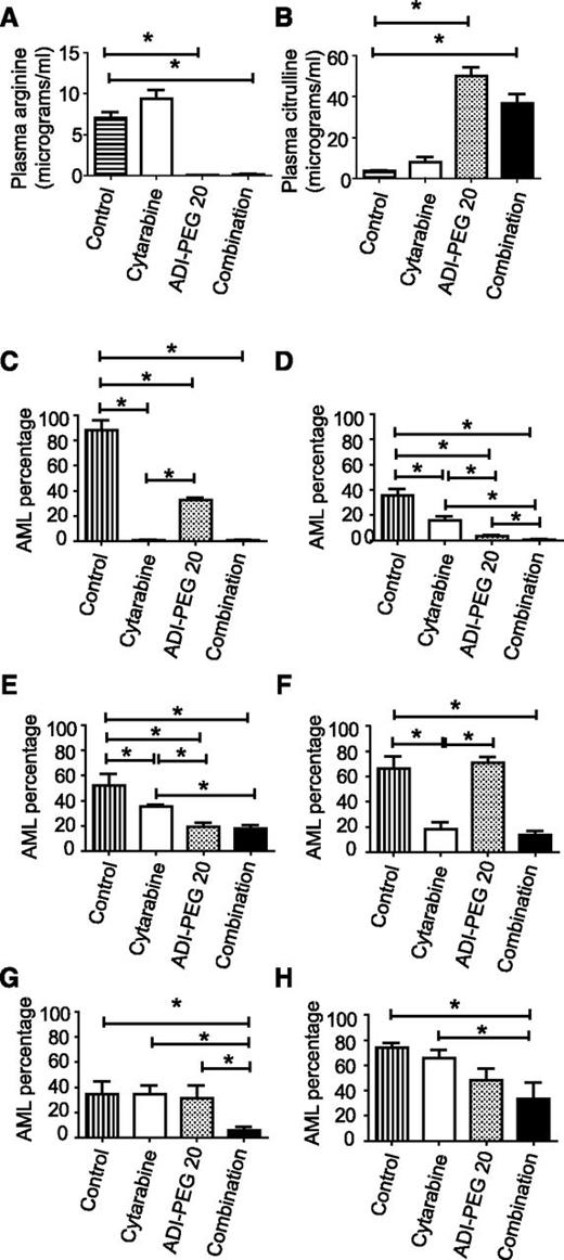 Figure 2. Arginine is depleted in mice receiving ADI-PEG 20, and this leads to reduced AML burden. (A) Plasma arginine was reduced in mice receiving ADI-PEG 20 either alone or in combination with cytarabine (data from 95 mice are shown). (B) Plasma citrulline levels were increased in mice receiving ADI-PEG 20 (data from 95 mice are shown). (C-H) The effects of ADI-PEG 20, cytarabine, and combination therapy on bone marrow AML percentage is shown. (C-E) ADI-PEG 20 alone reduced the percentage of AML in 3 experiments (AML samples 2, 3, and 5). (C-F) Cytarabine alone reduced the percentage of AML in 4 experiments (AML samples 2, 3, 4, and 5). (G-H) Neither drug alone was effective for AML samples 1 and 6, but the combination was effective in both. *P < .05.