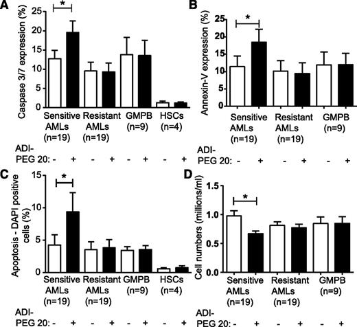 Figure 4. Apoptosis induction by ADI-PEG 20 in resistant and sensitive AML in vitro. ADI-PEG 20 induced apoptosis in half the AML samples in vitro. The expression of active caspase 3/7 following ADI-PEG 20 administration is shown in the ADI-sensitive (n = 19) and ADI-resistant AMLs (n = 19) as well as GMPB (n = 9) and normal hematopoietic stem cells (HSCs; n = 4) (A). Similar data were observed for annexin-V expression (B) for ADI-PEG 20–sensitive (n = 13) and ADI-PEG 20–resistant AML (n = 10) and GMPB (n = 7). (C) Cell death as defined by 4,6-diamidino-2-phenylindole staining was increased in sensitive AMLs (n = 13) but not resistant AML (n = 10), GMPB (n = 7), or normal HSCs (n = 4). Numbers of viable AML cells were reduced in ADI-PEG 20–sensitive AMLs (n = 19) but not ADI-PEG 20–resistant AML (n = 19) nor GMPB (n = 9) (D). *P < .05