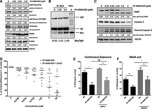 Figure 3. PF-04691502 induces the intrinsic apoptosis pathway after PI3K/mTOR pathway inhibition. (A) Immunoblotting was used to show expression of the Bcl-2 family of proapoptotic proteins, namely Noxa and Puma, in resting nonactivated cells. pAKTS473 and pS6KT389 were used to confirm that PF-04691502 treatment (18 hours) had inhibited the PI3K/mTOR pathway. HSC70 was used as a loading control. The figure is representative of 9 independent experiments. (B) BAX conformational change was investigated in the presence or absence of PF-04691502; immunoprecipitation (IP) with the BAX 6A7 antibody was performed as described in supplemental Methods). IgH and IgL were included to confirm that identical quantities of antibody were used for the immunoprecipitation. Blot is representative of 4 independent experiments. (C) Cleavage of caspase 3 and its substrate PARP (marker of apoptosis). Blot is representative of 10 independent experiments. (D) CLL samples (n = 7) were treated with PF-04691502 as above but with or without the pan-caspase inhibitor ZVAD.fmk and analyzed by flow cytometry for annexin V/PI negativity. (E) Stromal fibroblasts (HFFF2) were cocultured with CLL cells and the whole well was treated in the presence or absence of continuous PF-04691502 (2.5 μM) for 24 hours. CLL cells were removed by scraping (or by pipetting; see supplemental Figure 3D), and cell viability was analyzed using annexin V/PI analysis by flow cytometry (n = 7). (F) The assay was performed as in panel E, except that the CLL cells were pretreated for 1 hour with PF-04691502 prior to washing out the drug, and the treated CLL cells were plated into wells containing stromal fibroblasts (n = 7) (described in supplemental Methods). Error bars represent SEM. No difference was observed between scraping all cells (panel E) or washing off only the CLL cells (see supplemental Figure 3D). *P < .05, **P < .01. NS, not significant.