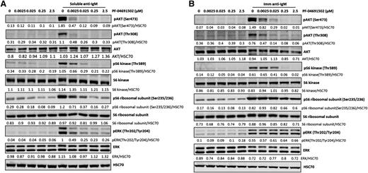 Figure 4. PF-04691502 inhibits anti-IgM–induced signaling. CLL cells were treated with (A) soluble anti-IgM beads (n = 9) and (B) immobilized (Imm) anti-IgM beads (n = 5) prior to evaluation of downstream signaling in the presence and absence of PF-04691502 (0.0025-2.5 μM) by immunoblot analysis. Representative cases are shown. CLL cells were treated for 1 hour with PF-04691502 prior to soluble/immobilized anti-IgM addition. pAKTT308 and pS6KT389 were used as markers of PI3K signaling, pAKTS473 and pS6S235/236 were used as markers of mTOR signaling, and pERKT202/Y204 was used as a marker of mitogen-activated protein kinase signaling. HSC70 was used as a loading control.
