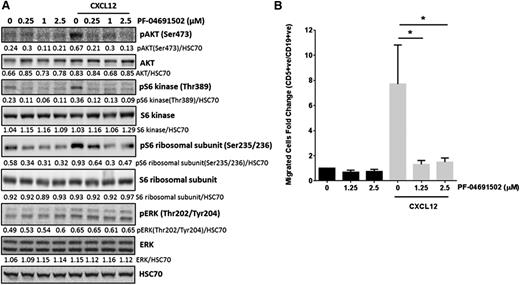 Figure 5. PF-04691502 inhibits CXCL12 signaling and subsequent migration. (A) CLL cells were treated with 200 ng/mL CXCL12 for the times indicated in the presence or absence of PF-04691502 (0.25-2.5 μM). PF-04691502 was added 30 minutes prior to the addition of CXCL12. Immunoblotting was performed for pAKTS473, pS6KT389, pS6S235/236, pERKT202/Y204, total proteins, and the loading control HSC70. Blot is representative of 6 independent experiments. (B) Using a transwell migration assay, we evaluated the migration of CLL cells toward 200 ng/mL CXCL12 in the presence or absence of PF-04691502 (1.25-2.5 μM). Flow cytometry was used to count the number of CD5+CD19+cells that had passed through the transwell filter (n = 5) (see supplemental Methods). Error bars represent SEM. *P < .03.