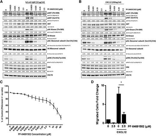 Figure 6. PF-04691502 inhibits anti-IgM– and CXCL12–induced signaling in Eμ-TCL1 murine cells. Eμ-TCL1 cells were removed from mice and grown in vitro. Eμ-TCL1 cells were treated with soluble (Sol) anti-IgM (5-15 minutes) (A) or 200 ng/mL CXCL12 (B) in the presence or absence of PF-04691502 (0.0025-2.5 μM), and the effects on downstream signaling (pAKTT308, pAKTS473, pS6KT389, pS6S235/236, and pERKT202/Y204) were investigated by immunoblotting. HSC70 was used as a loading control. (C) Viability of Eμ-TCL1 cells by PF-04691502 was evaluated by annexin V/PI assays and represented as percentage viable cells. (D) Migration was performed as previously described in Figure 5B. Error bars represent SEM. *P < .02.