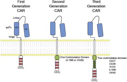 Figure 1. CAR structure, according to signaling domains. CAR molecules link an extracellular single-chain variable fragment (scFv) to intracellular signaling domains. The intracellular component includes the CD3ζ intracellular signaling domain of the T-cell receptor either alone (first generation) or in combination with 1 (second generation) or 2 (third generation) costimulatory domains. Reprinted with permission from Maus et al.19
