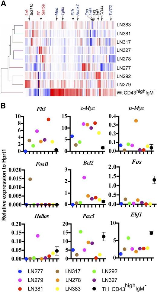 Figure 5. Pax5+/−Ebf+/− tumor cells display molecular heterogeneity. (A) Heat map over gene expression patterns in primary sorted CD19+CD43highIgM− ex vivo-analyzed BM pro-B cells from 14-week-old mice and 8 pro-B cells tumors from Pax5+/−Ebf1+/− mice. The expression pattern is based on genes differentially expressed >10-fold in any of the tumor samples compared with normal pro-B cells. Red indicates high and blue indicates low expression of mRNA. The data are collected from 2 array experiments from each cell population. (B) Quantitative PCR data generated from primary sorted live lymph node cells from a set of independently generated tumors and primary sorted BM pro-B cells. The data were normalized to the expression of Hprt, and the diagrams present 1 of 2 independent quantitative RT-PCR experiments based on triplicate quantitative RT-PCR reactions.