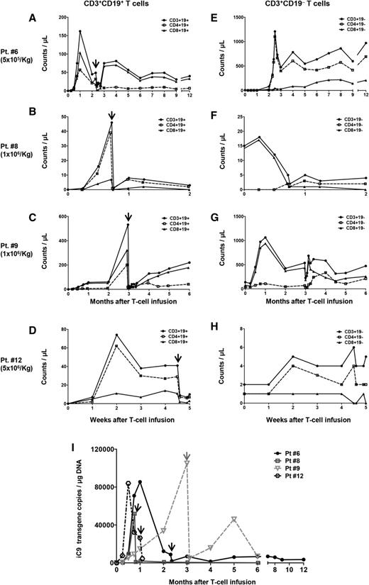 Figure 2. iC9-T-cell engraftment and in vivo allodepletion by dimerizer drug. Counts of T-cell subsets in 4 patients who received AP1903. CD3+CD19+ T cells (A, Pt. 6; B, Pt. 8; C, Pt. 9; D, Pt. 12) and CD3+CD19− T cells (E, Pt. 6; F, Pt. 8; G, Pt. 9; H, Pt. 12). ●, □, and ▲ represent the CD3+, CD4+, and CD8+ subtypes, respectively. (I) The copy number of the iC9 transgene per microgram of DNA extracted from PBMC, evaluated by Q-PCR. Arrow indicates the time at which the patient was treated with AP1903. Pt., patient.