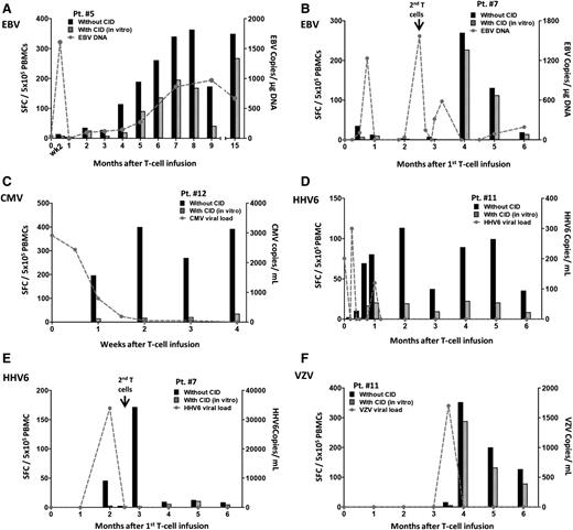 Figure 3. Antiviral immune reconstitution after iC9–T-cell infusion. Quantification of pathogen-specific T cells detected by IFN-γ ELISPOT at multiple time points for each patient who did not receive AP1903. Pts. 5 (A) and 7 (B) had EBV reactivations, Pt. 12 had CMV reactivation (C), and Pt. 11 had HHV6 reactivation (D) before iC9–T-cell infusion. Pt. 7 had HHV6 infection (E), and Pt. 11 had VZV infection (F) after iC9–T-cell infusion. Black histograms represent response from total T cells and striped histograms represent response from endogenous T cells. The value of their difference represents the response from infused iC9-T cells. The gray dashed line indicates the viral load at multiple time points.