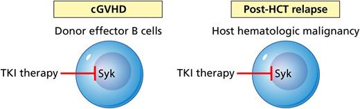Flynn et al have demonstrated that Syk signaling within allogeneic B cells contributes to murine cGVHD and can be successfully targeted with TKI therapy. The effect was most dramatic in a model of bronchiolitis obliterans, which is a devastating complication of allogeneic hematopoietic cell transplantation (HCT). Because Syk inhibition holds promise for the treatment of multiple hematologic malignancies, targeting this pathway represents an exciting new intervention to improve both the safety and the efficacy of allogeneic HCT. Professional illustration by Patrick Lane, ScEYEnce Studios.