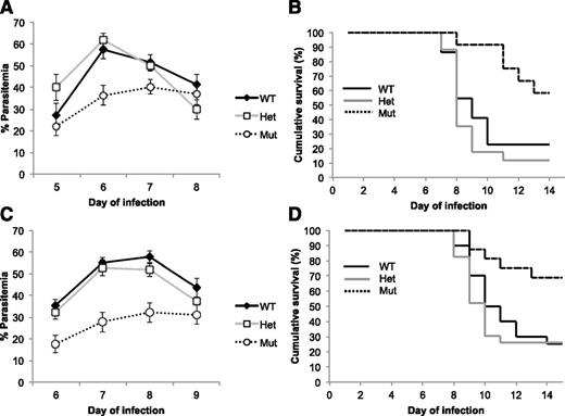 Figure 2. P chabaudi infection kinetics and survival in ferrochelatase knockdown mice. Parasitemia of P chabaudi–infected female (A) and male (C) mice. Data (±SE) represent the mean percentage of infected red cells in mice on the indicated day following inoculation with P chabaudi blood-stage parasites. The strains of mice used (all on a C57BL/6 genetic background) were (n = female and male): Fech+/+ (WT, n = 22 and 20), Fech+/m1Pas (Het, n = 17 and 23), and Fechm1Pas/m1Pas (Mut, n = 12 and 16). There was a significant difference between Fechm1Pas/m1Pas mice and both the Fech+/+ and Fech+/m1Pas strains at the day of peak infection (female, day 6, P < .01; male, day 8, P < .01). All parasitemias returned to 0 in surviving mice. Survival of P chabaudi–infected female (B) and male (D) mice. Mice were infected with P chabaudi and monitored for survival over the time period indicated. The mice used were the same as those used to study the parasitemias above. There was a significant difference in survival between Fechm1Pas/m1Pas mice and both Fech+/+ and Fech+/m1Pas strains (female, P < .01; male P < .01). SE, standard error; WT, wild type.