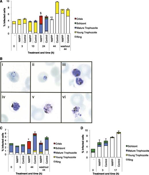 Figure 4. The effect of N-MPP on intraerythrocytic parasite development. N-MPP (5 μM) was added to cultured P falciparum parasites synchronized at the ring (A), mature pigmented trophozoite (C), or schizont stage (D), and proportions of individual parasite stages were enumerated at the indicated time points. Cells were also treated with N-MPP for 3 hours, washed extensively, and then returned to drug-free culture medium for the remainder of the experiment (washout). Crisis-form parasites were observed at some time points. Data (±SEM) represent the mean of 1 assay performed in duplicate. *P < .05, **P < .01 comparing N-MPP vs control total percentage of infected cells; §P < .05 comparing N-MPP vs control mature trophozoites, schizonts, and crisis-form parasites. (B) Photomicrographs of different parasite stages and examples of crisis-form parasites. Healthy appearing ring (i), young trophozoite (ii), mature pigmented trophozoite (iii) and schizont (iv) stages, and crisis-form trophozoites (v and vi).