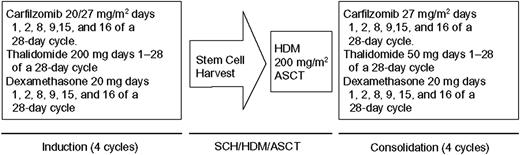 Figure 1. Dosing schedule and treatment schema. Patients received up to 4 cycles (28 days each) of KTd induction therapy before initiating SCH, HDM, and ASCT. Carfilzomib was administered IV over 2 to 10 minutes on days 1, 2, 8, 9, 15, and 16 at a starting dose of 20 mg/m2 for days 1 and 2 of cycle 1 and escalated to a target dose of 27 mg/m2 (cohort 1), 36 mg/m2 (cohort 2), 45 mg/m2 (cohort 3), or 56 mg/m2 (cohort 4, not shown) for days 8, 9, 15, and 16 of cycle 1 and days 1, 2, 8, 9, 15, and 16 of cycles 2 to 4. Thalidomide 200 mg was administered on days 1 to 28, and dexamethasone 20 mg was administered on days 1, 2, 8, 9, 15, and 16. SCH was performed using cyclophosphamide 2 to 4 g/m2 and granulocyte colony-stimulating factor according to institutional protocols. After ASCT, up to 4 cycles (28 days each) of consolidation therapy were initiated. The KTd consolidation regimen was similar to the induction regimen, except that the target doses of carfilzomib and thalidomide were 27 mg/m2 and 50 mg, respectively.