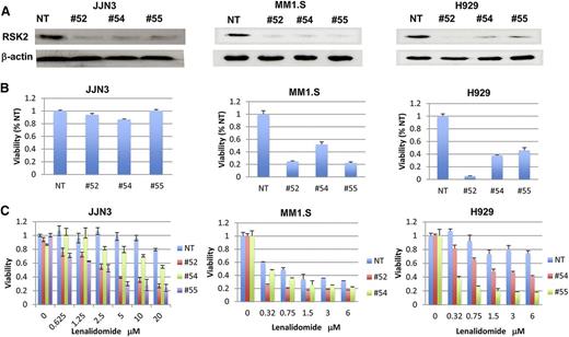 Figure 2. RSK2 knockdown inhibited myeloma growth and enhanced lenalidomide-mediated myeloma cytotoxicity. (A) JJN3 (left), MM1.S (middle), and H929 (right) cells were infected with control virus (NT) and RSK2 shRNAs (#52, #54, and #55) lentivirus, and immunoblotting was performed at 48 or 72 hours after virus infection to confirm RSK2 knockdown by shRNAs. (B) Cell viability was measured by MTT assay at day 6 after infection. The data from cells infected with RSK2 shRNAs were normalized to NT control. (C) Escalating doses of lenalidomide were added at 24 hours after virus infection and cell viability was measured at day 5 after treatment (the data from each treatment were normalized to vehicle-treated control). shRNA (#52) in H929 cells and shRNA (#55) in MM1.S cells alone were lethal to most of those cells and we were not able to evaluate drug response in them.