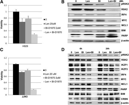 Figure 7. The combination of lenalidomide and BI-D1870 demonstrated a significant enhancement of cytotoxicity and downregulation of IRF4 and MYC. H929 (A-B) and JJN3 (C-D) were treated with the indicated doses of lenalidomide and BI-D1870 (μM) for various times, and was followed by MTT assay (A and C, day 5) and immunoblotting assay (B and D, at various time points).