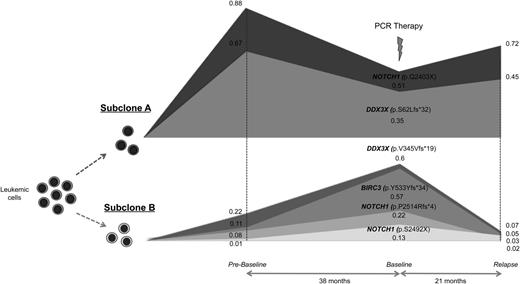 Figure 3. Genetic complexity and convergent evolution in patient CLL11. Different mutations affecting the same genes were identified in 2 independent subclones. Subclone A had mutations in NOTCH1 (p.Q2403X) and DDX3X (p.S62Lfs*32). Subclone B showed subclonal mutations in NOTCH1 (p.S2492X and p.P2514Rfs*4) and DDX3X (p.V345Vfs*19), and a frameshift deletion in BIRC3 (p.Y533Yfs*34). The horizontal axis represents the timeline of sample collection from prebaseline to baseline to relapse. The vertical axis represents the relative abundance of mutations in subclones. The approximate allelic fractions are shown for each mutation at different time points.