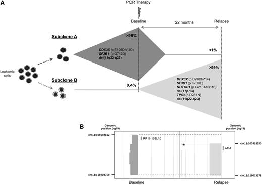 Figure 4. Genetic complexity and convergent evolution in patient CLL33. (A) Convergent evolution was observed in 3 independent driver genes in 2 subclones. Subclone A had DDX3X (p.E196Dfs*30), SF3B1 (p.G742D), and del(11q22-23) genetic lesions. The emergent subclone B after relapse had independent mutations in DDX3X (p.D20Dfs*14) and SF3B1 (p.K700E), and del(11q22-q23). Additionally, del(17p13) and mutations in TP53 (p.D281N) and NOTCH1 (p.G2131Gfs*116) were identified in subclone B. (B) Different breakpoints for del(11q22-23) in subclones A and B were confirmed by aCGH (deleted regions in each time point are shown by dark gray and light gray blocks; breakpoints are indicated by broken lines). The genomic position of the breakpoints is shown at each time point. The deletion found at baseline was not found at relapse, as was confirmed using a custom FISH probe (RP11-159L10). Additionally, biallelic deletion affecting an already-defined copy number polymorphism in relapse samples but not in the baseline sample (marked with an asterisk) suggest that different chromosomes 11 (paternal versus maternal) were deleted in each subclone. The physical positions of probe RP11-159L10 and ATM are shown.