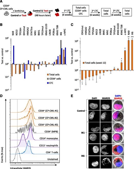 Figure 1. NUP98-HOXA9, MYC, KRAS T58I, and IK6 promote the growth of CP-CML cells. (A) Experimental design used to assess the effects of 15 candidate cDNAs on the growth of CD34+ CP-CML cells in cultures initiated with equal numbers of test- and control-transduced cells (3-10 × 103, depending on the experiment). (B) Total cells, CD34+ cells and CFCs in 6-week cultures. Values shown are the mean ratios of the numbers of test to control cells (identified by expression of GFP or YFP) or the matching CFC numbers measured in 4 replicate primary cultures. (C) Total cells present in 6-week secondary cultures (1 primary culture equivalent per secondary culture; total of 12 weeks of culture). Values shown are the mean ± SEM of ratios of the numbers of test to control cells. (D) Representative flow cytometric profiles of intracellular IKAROS protein levels in different subsets of CP-CML cells from 4 patients and CD34+ cells isolated from mobilized peripheral blood (MPB) samples from 2 normal donors. (E) Confocal microscopy images of representative single CP-CML cells, either untransduced (control) or following transduction with wild-type IKAROS (IK1) or IK6, and stained with 4,6 diamidino-2-phenylindole (DAPI, blue) and an antibody reactive with both wild-type and IK6 isoforms (red). *P < .05; **P < .01; ***P < .001. 1°, primary; 2°, secondary; 3°, tertiary; IDH1mut, IDH1 R132H; IK6, dominant-negative IKAROS, IK6 isoform; LTC, long-term culture; NA9, NUP98-HOXA9; ND13, NUP98-HOXD13; PI3Kca, PIK3CA H1047R; STAT5ca, STAT5A H298R/S710F27; TP53dn, TP53 dominant-negative GSE5628; TP53mut, TP53 R273C.