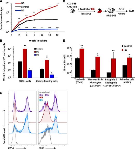 Figure 6. Forced expression of wild-type IKAROS (IK1) in CP-CML cells inhibits total cell outputs and progenitor expansion and compromises the effects of IK6, which include promoting the growth of CP-CML cells in vivo. (A) Cumulative cell outputs in serial primary and secondary cultures (6 weeks + 6 weeks) initiated with cells from CP-CML patient #1 transduced with IK6, IK1, or a control vector. Values shown are the mean ± SEM of results from 3 replicate cultures. P values: IK1 or IK6 vs control. (B) Numbers of CD34+ cells and CFCs (as enumerated in a 14-day methylcellulose assay) present after 6 weeks in the individual cultures shown in panel A. Values shown are the mean ± SEM of results from 3 replicate cultures, expressed as CD34+ cells or CFCs per 104 starting cells. P values: IK1 or IK6 vs control. (C) Representative flow cytometric profiles of cell-surface expression of CD14 (monocyte) and CD15 (neutrophil) on nonadherent cells in 2- to 3-week cultures initiated with CD34+ CP-CML cells transduced with IK1, IK6, or a combination of IK1 and IK6 (total of 4 CP-CML samples tested showing similar results). (D) Experimental design used to assess the effects of IK6 on the growth of CD34+ CP-CML cells in immunodeficient mice cotransplanted with equal numbers of IK6 (GFP+)- and control (YFP+)-transduced CD34+CD38− cells from CP-CML #1 (105 cells of each per mouse). (E) Levels of BM chimerism (total human and subsets thereof) obtained 5 weeks posttransplant. Values shown are the mean ± SEM of results from 5 individually assessed mice. P values: IK6 vs control. *P < .05; **P < .01; ***P < .001. BMA, bone marrow aspirate; IK1, wild-type (full-length) IKAROS.